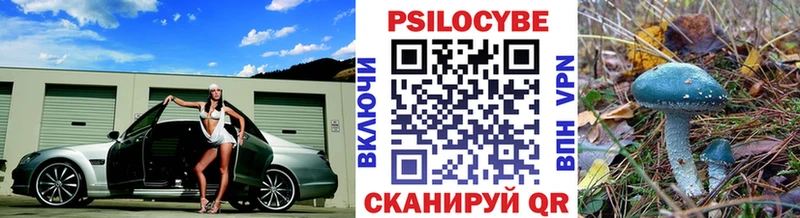 где купить наркоту  Прохладный  Псилоцибиновые грибы ЛСД 